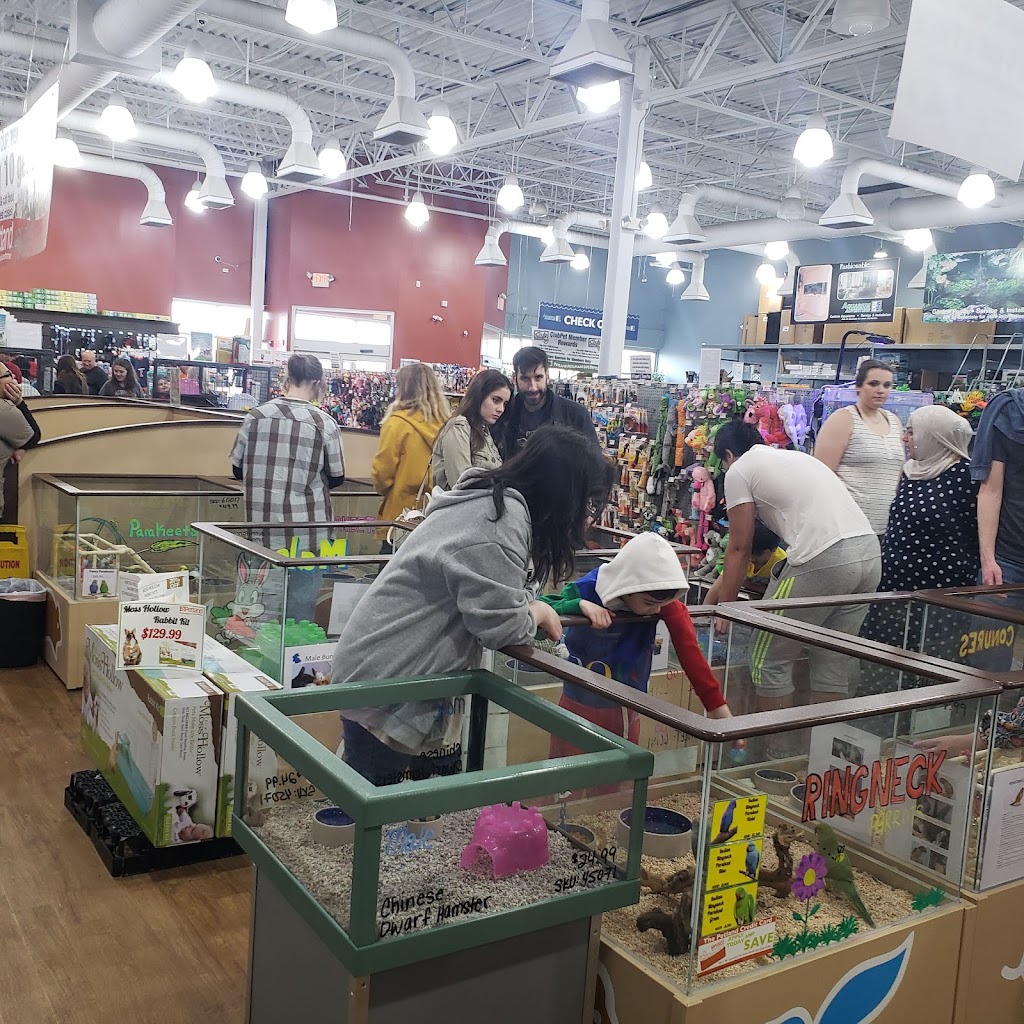 Petland Bolingbrook | The Promenade at Bolingbrook, Petland 744 E Boughton Rd, Bolingbrook, IL 60440, USA | Phone: (630) 739-1213