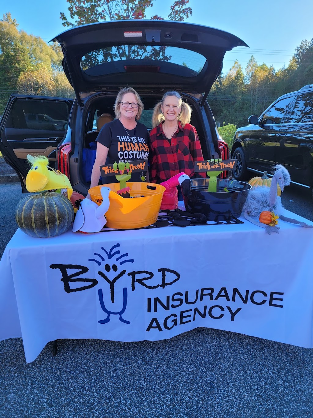 Byrd Insurance Agency Inc | 4345 Atlanta Hwy, Hiram, GA 30141, USA | Phone: (770) 439-7991