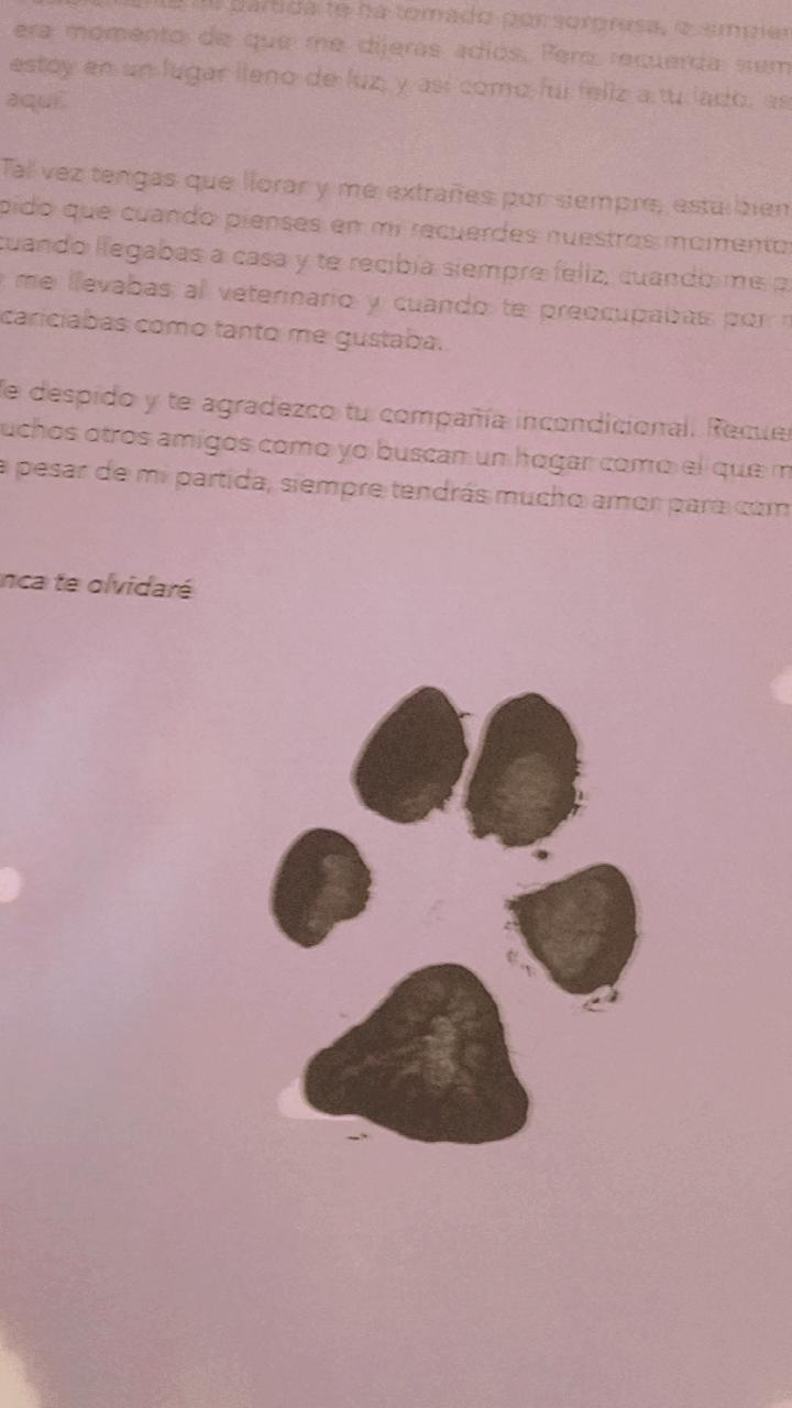 VETERINARIA GRANERO Y ESTETICA JOY. | Tijuana, Hacienda Las Delicias, 22163 Las delicias, B.C., Mexico | Phone: 664 381 3162