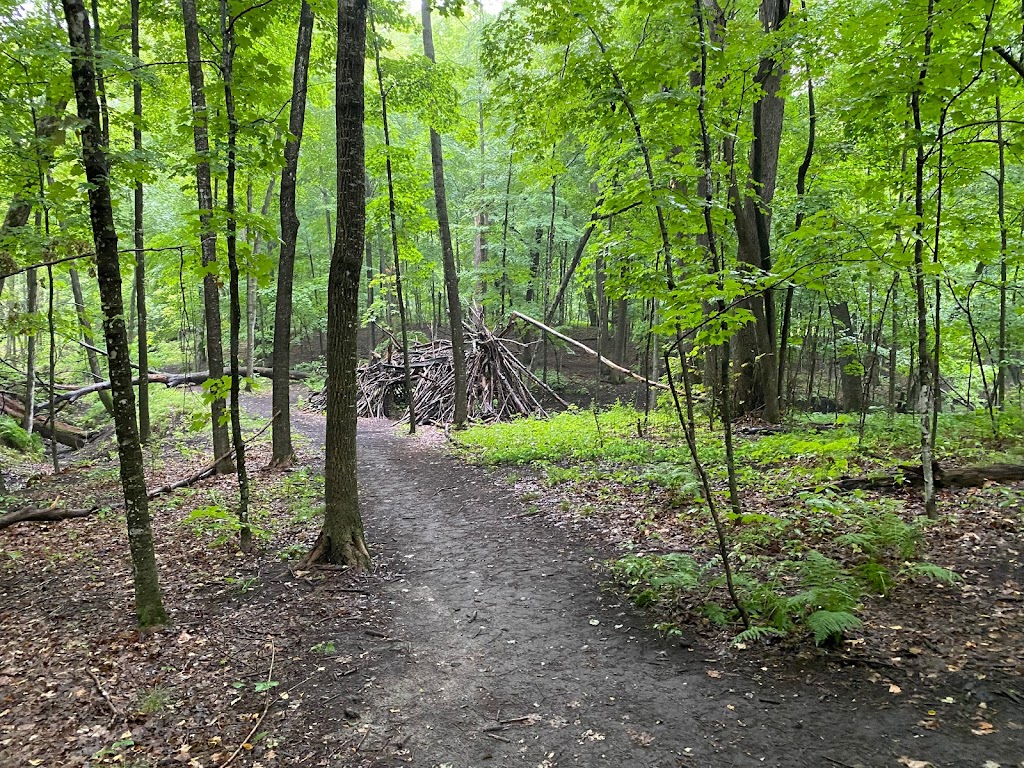 Wolsfeld Woods Scientific and Natural Area (SNA) | 2060 County Rd 6, Long Lake, MN 55356, USA | Phone: (651) 259-5800