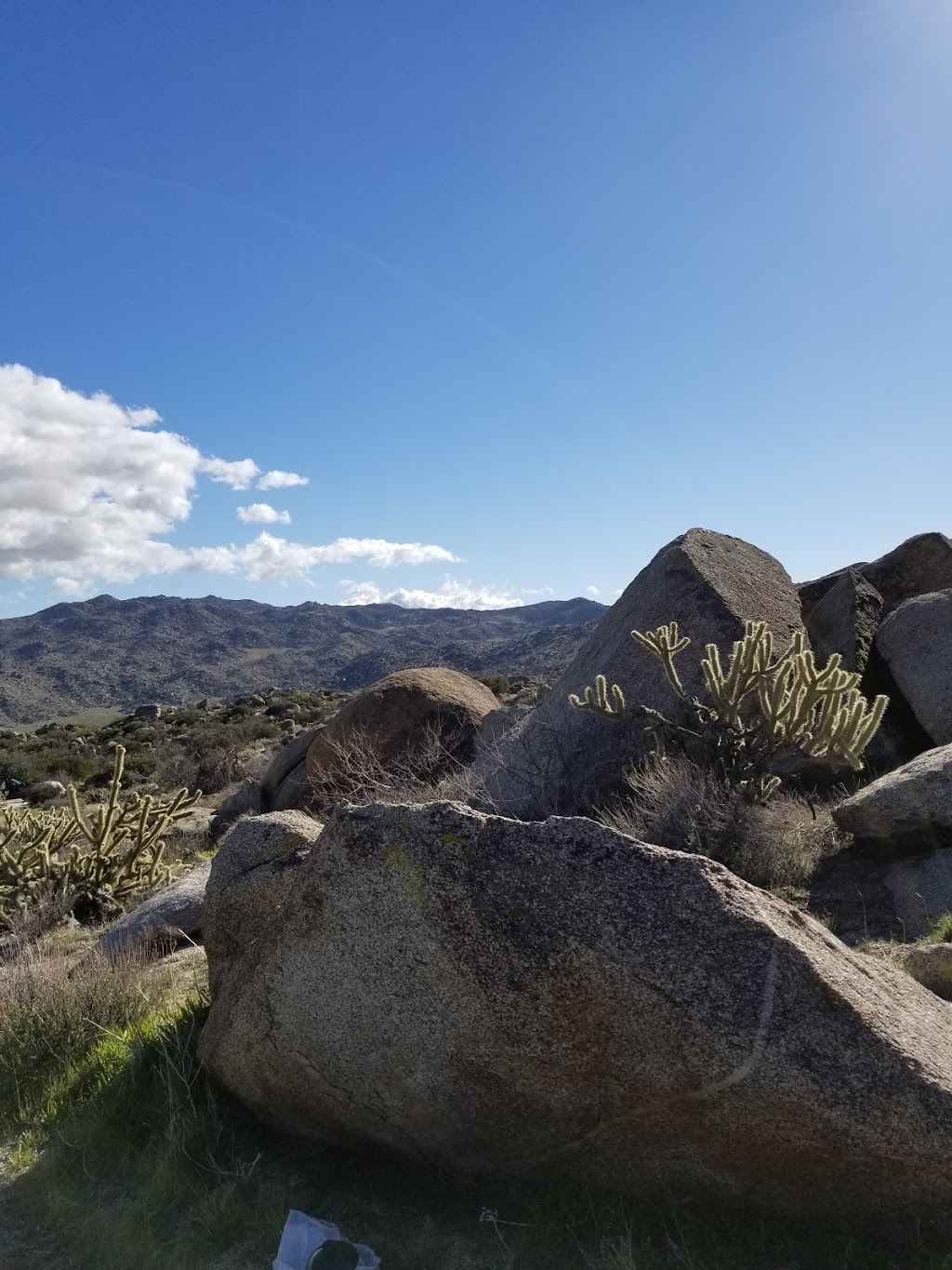 Culp Valley Primitive Campground | Montezuma-Borrego Hwy, Ranchita, CA 92066, USA | Phone: (760) 767-4037