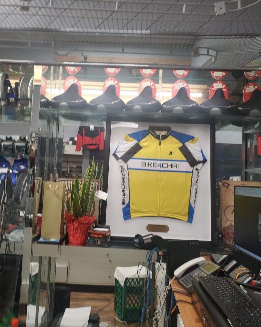 South Shore Bicycle and Fitness | 1311 Broadway, Hewlett, NY 11557, USA | Phone: (516) 374-0606