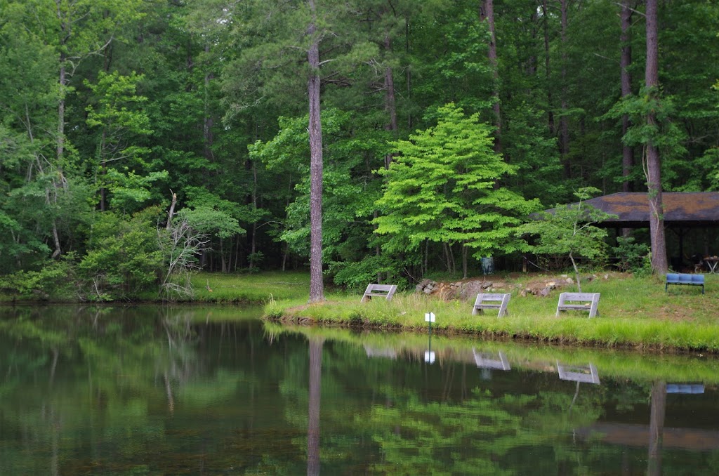 Bear Creek Nature Center | 6300 Cochran Mill Rd, Chattahoochee Hills, GA 30268, USA | Phone: (770) 306-0914