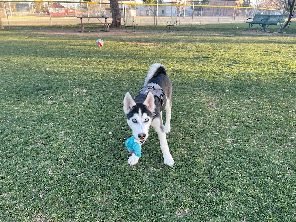 Coolidge Veterinary Hospital | 435 W Coolidge Ave, Coolidge, AZ 85128, USA | Phone: (520) 723-5500