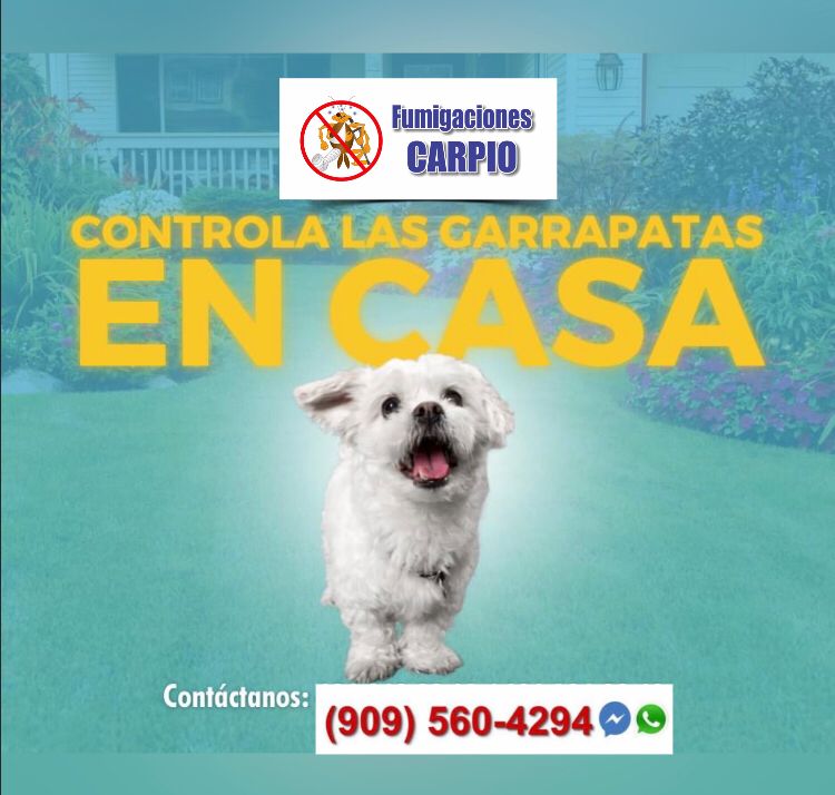 Fumigaciones Carpio | 6511 Myrtle Ct, Rancho Cucamonga, CA 91739, USA | Phone: (909) 560-4294