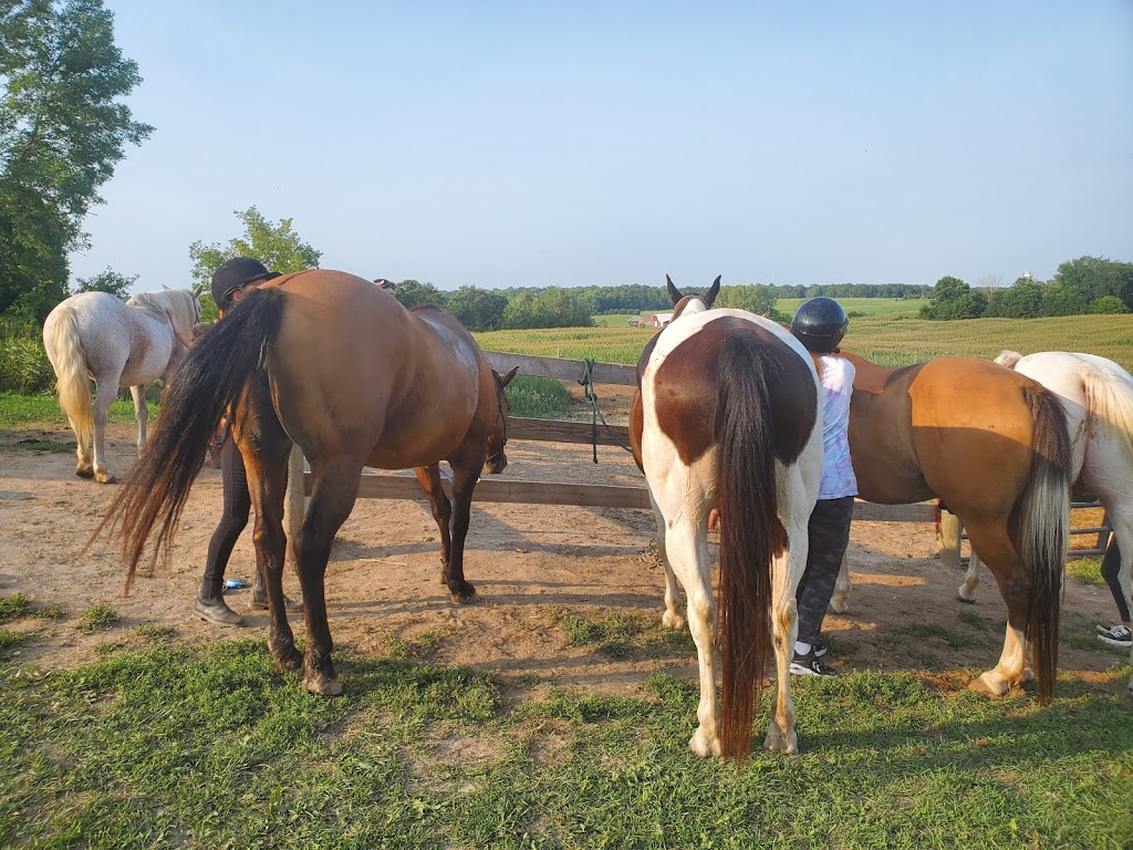 Dizzy Jay Farm | 1026 130th St, Amery, WI 54001, USA | Phone: (715) 781-5032