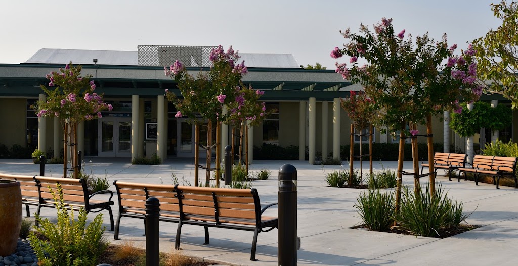 St Raymond School | 11557 Shannon Ave, Dublin, CA 94568, USA | Phone: (925) 828-4064