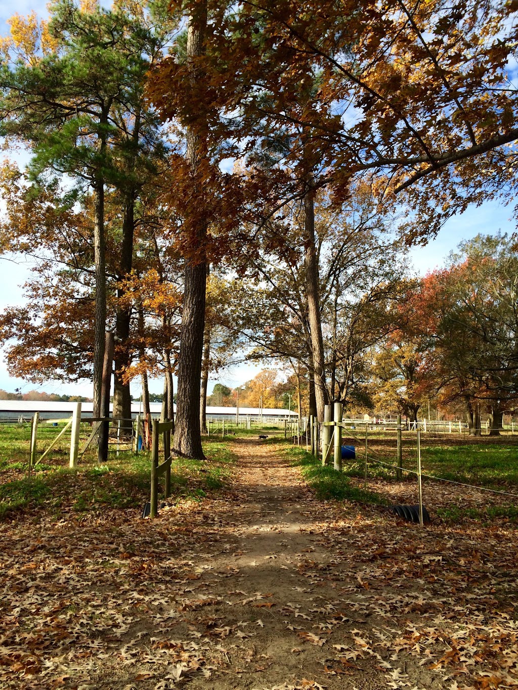 New Hope Stables | 104 Atkins Way, Hertford, NC 27944, USA | Phone: (252) 312-9994