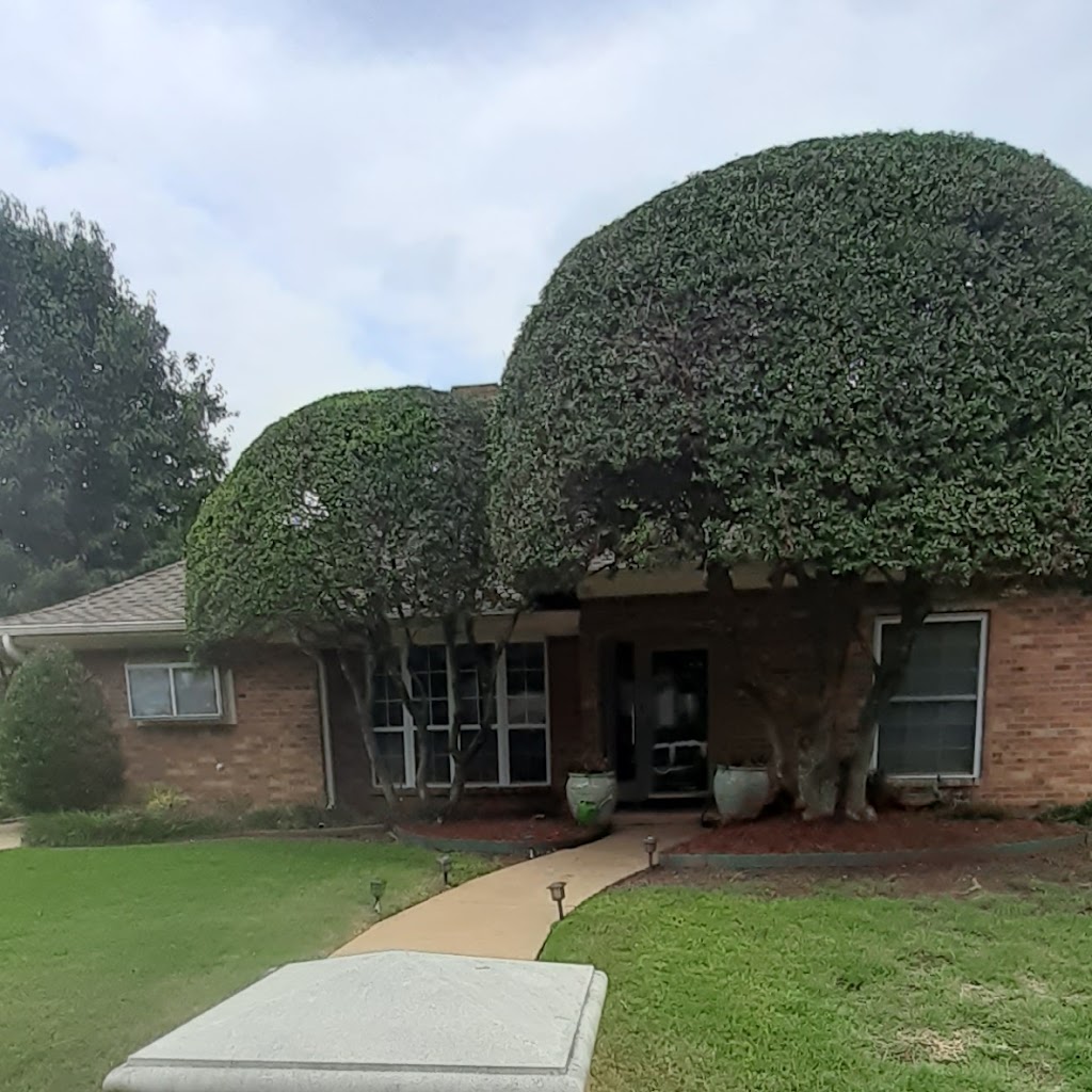 JMS Tree service and LANDSCAPING | 7418 Remington Rd, Mansfield, TX 76063, USA | Phone: (817) 714-9974