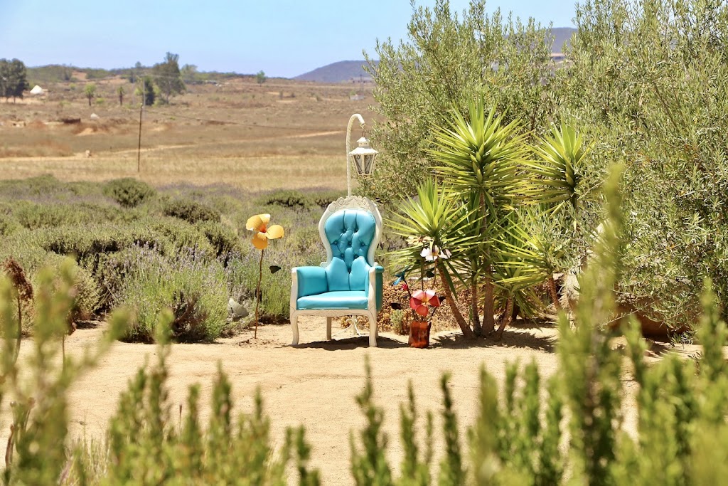 Aires de Lavanda | Carretera El Tigre Km 3.5, San Antonio de las Minas, 22320 Ensenada, B.C., Mexico | Phone: 646 117 0453