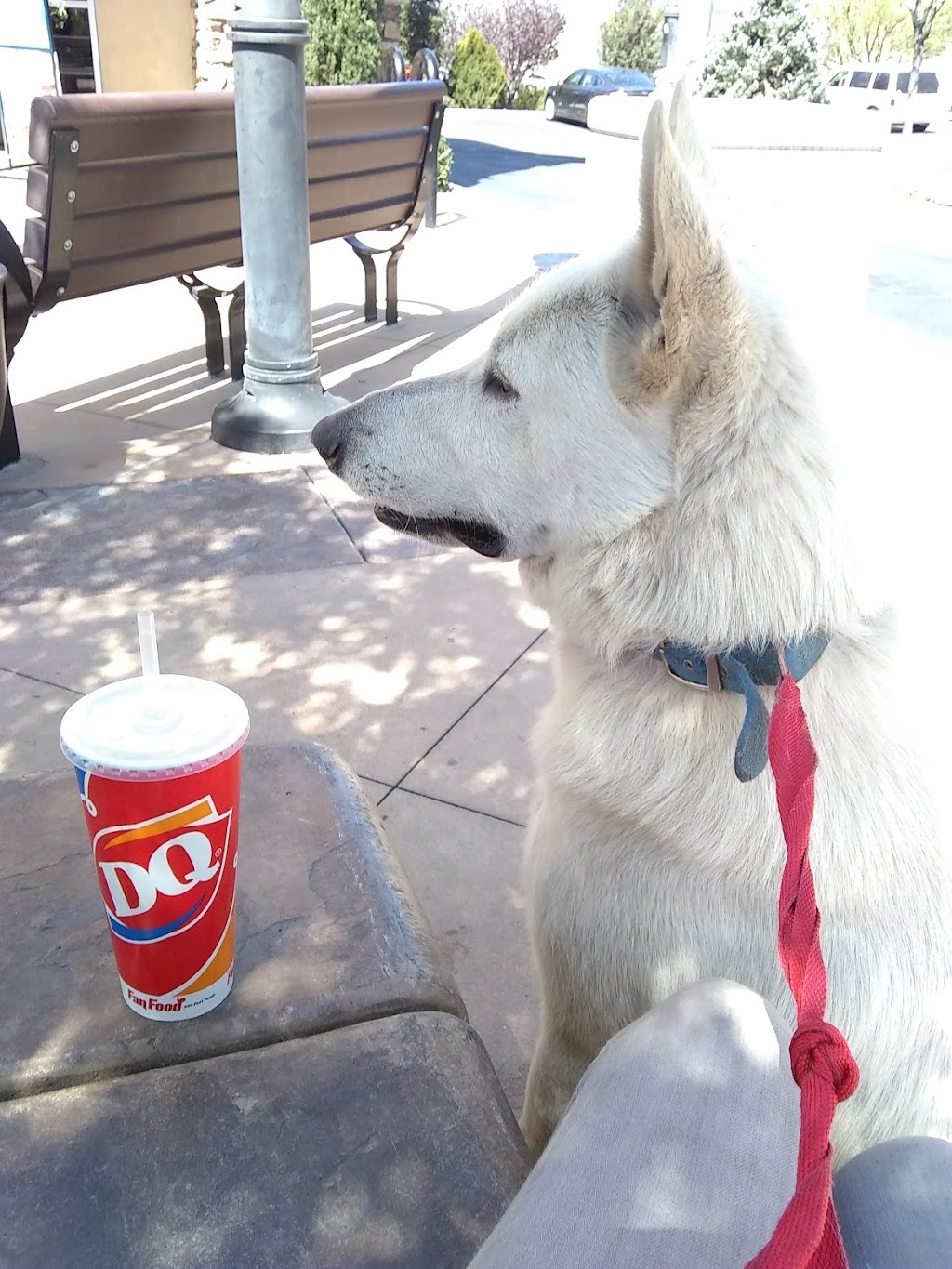 Dairy Queen / Orange Julius (Treat) | 12045 5th St Unit G, Yucaipa, CA 92399, USA | Phone: (909) 790-3772