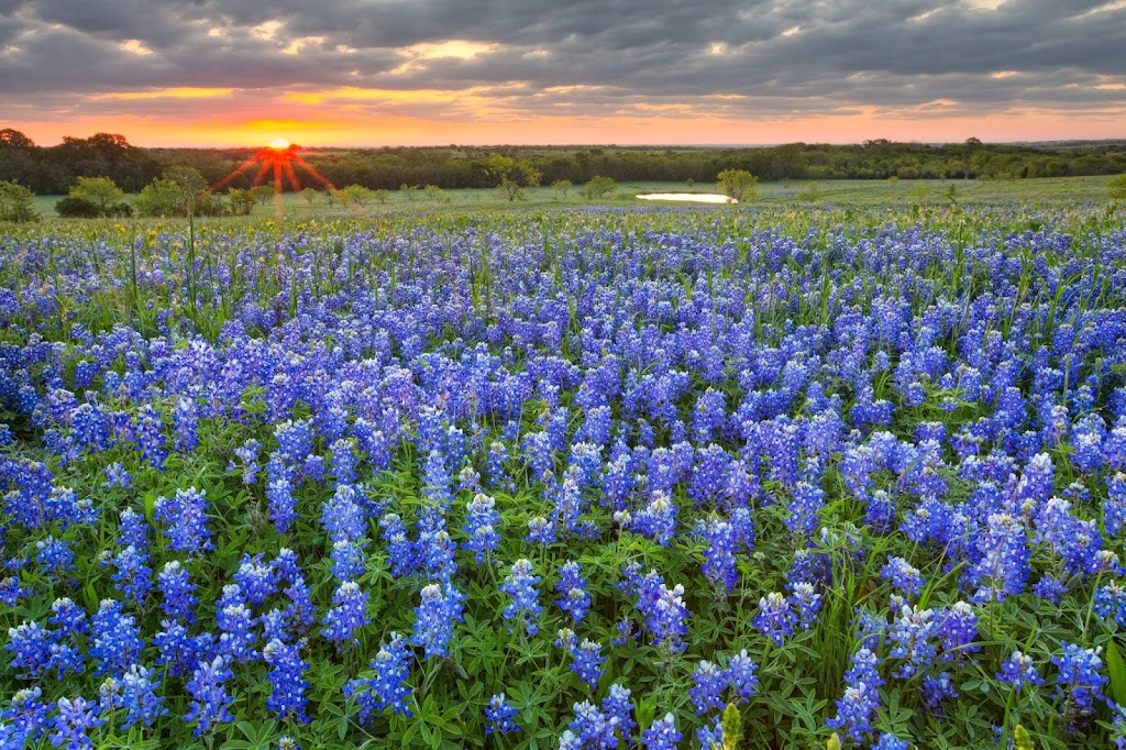 Sedro Trail Assisted Living & Memory Care | 292 Sedro Trail, Georgetown, TX 78633, USA | Phone: (512) 943-4837