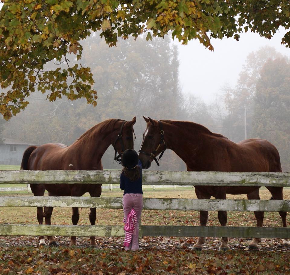 Franklin Riding Academy | 4468 Murfreesboro Rd, Franklin, TN 37067, USA | Phone: (615) 790-0312