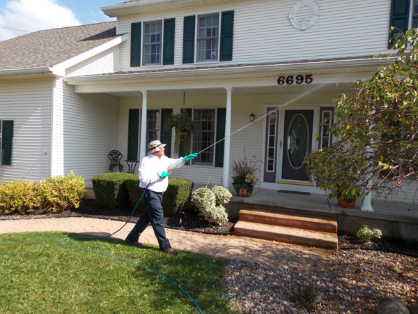 Bugg Control, Inc. | 2995 Grand Island Blvd, Grand Island, NY 14072, USA | Phone: (716) 773-2844