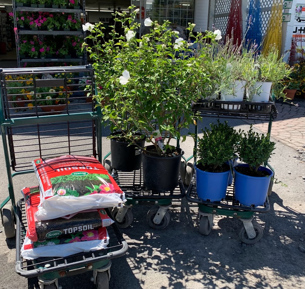 Robinson ACE Hardware & Garden Center | Robinson Hardware and Garden Center, 1900 New Scotland Rd, Slingerlands, NY 12159 | Phone: (518) 475-9483