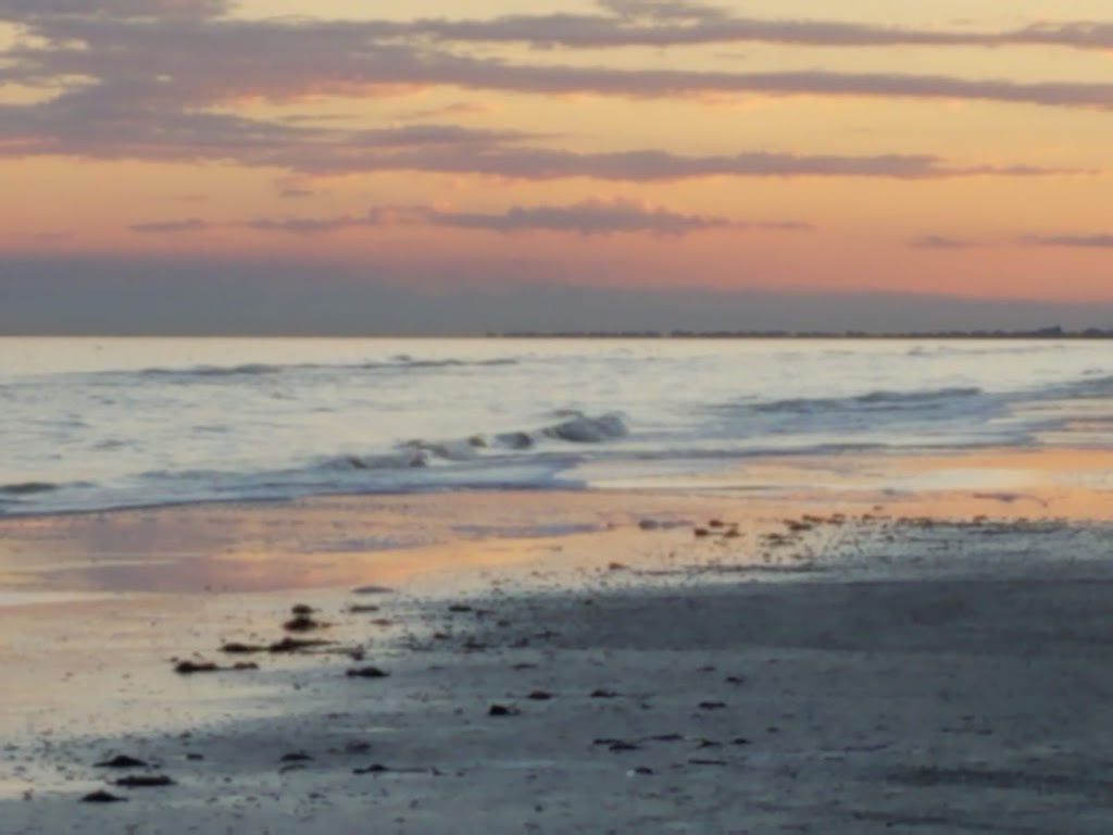 Pams All Breed Pet Grooming | 5625 Watauga Rd A, Watauga, TX 76148, USA | Phone: (817) 281-2424