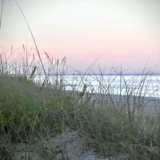 AgentJane Health & Life | 2313 Bay Blvd, Indian Rocks Beach, FL 33785, USA | Phone: (727) 314-0116