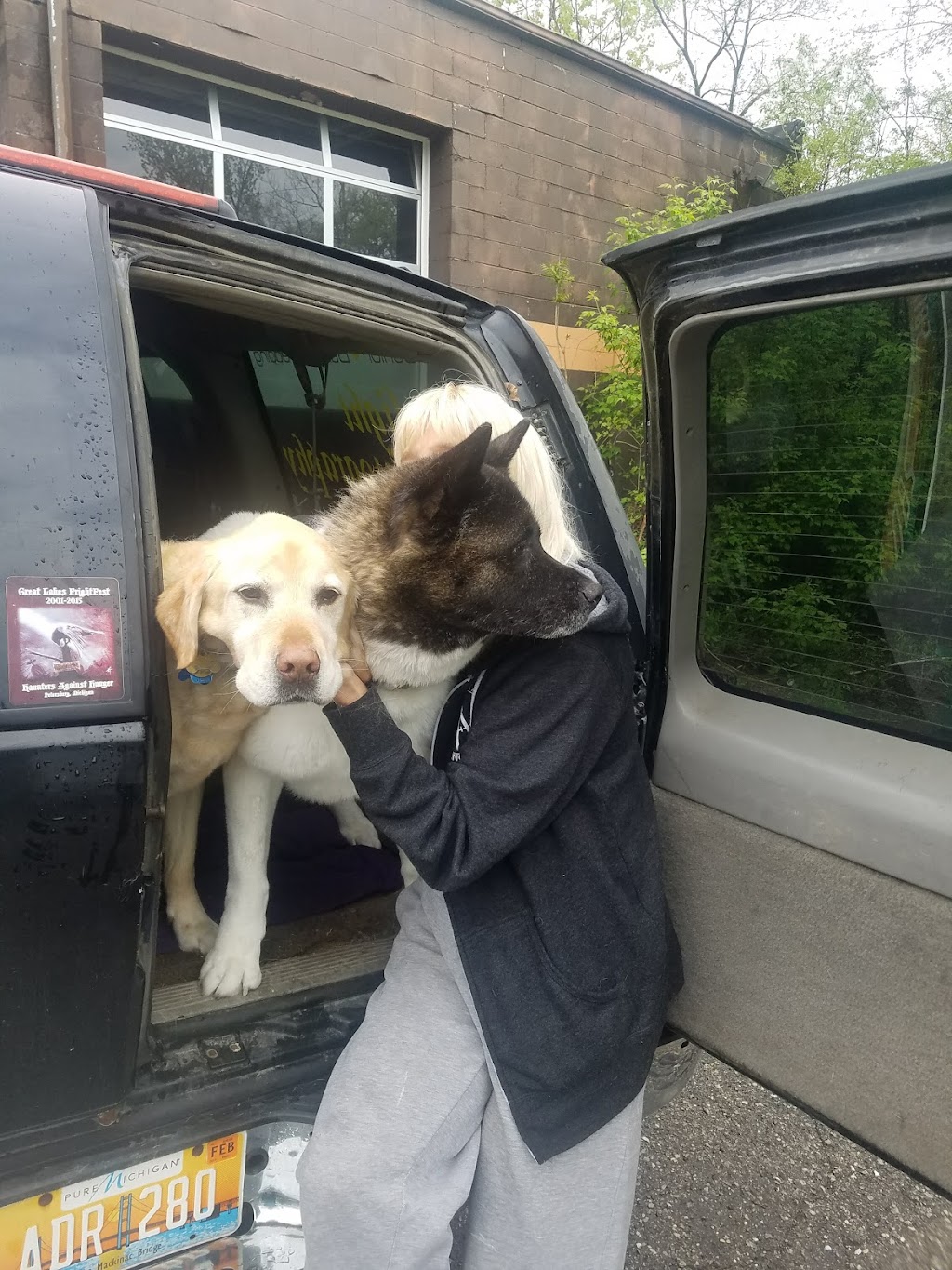 Affordable Veterinary Clinic | 304 E Columbia Ave, Belleville, MI 48111, USA | Phone: (734) 699-3800