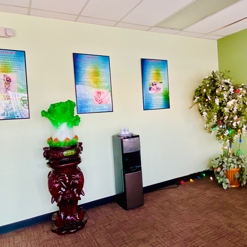 Wellness Foot Spa | United States, Arizona, Peoria, W Cactus Rd, 209邮政编码: 85381 | Phone: (623) 776-0922