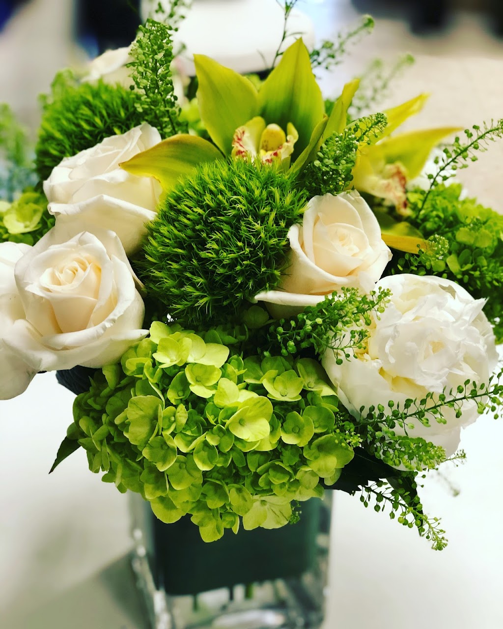 Needham Florist | 1091 Great Plain Ave, Needham, MA 02492, USA | Phone: (781) 449-8484