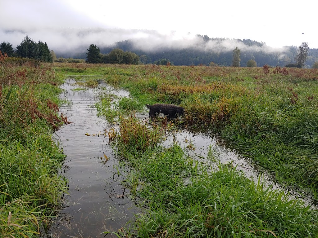 Snoqualmie Wildlife Area Cherry Valley Unit | Duvall Monroe Rd NE, Duvall, WA 98019, USA | Phone: (425) 775-1311