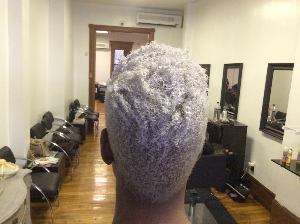 Harlem Natural Hair Salon | 751 St Nicholas Ave, New York, NY 10031, USA | Phone: (212) 694-6593