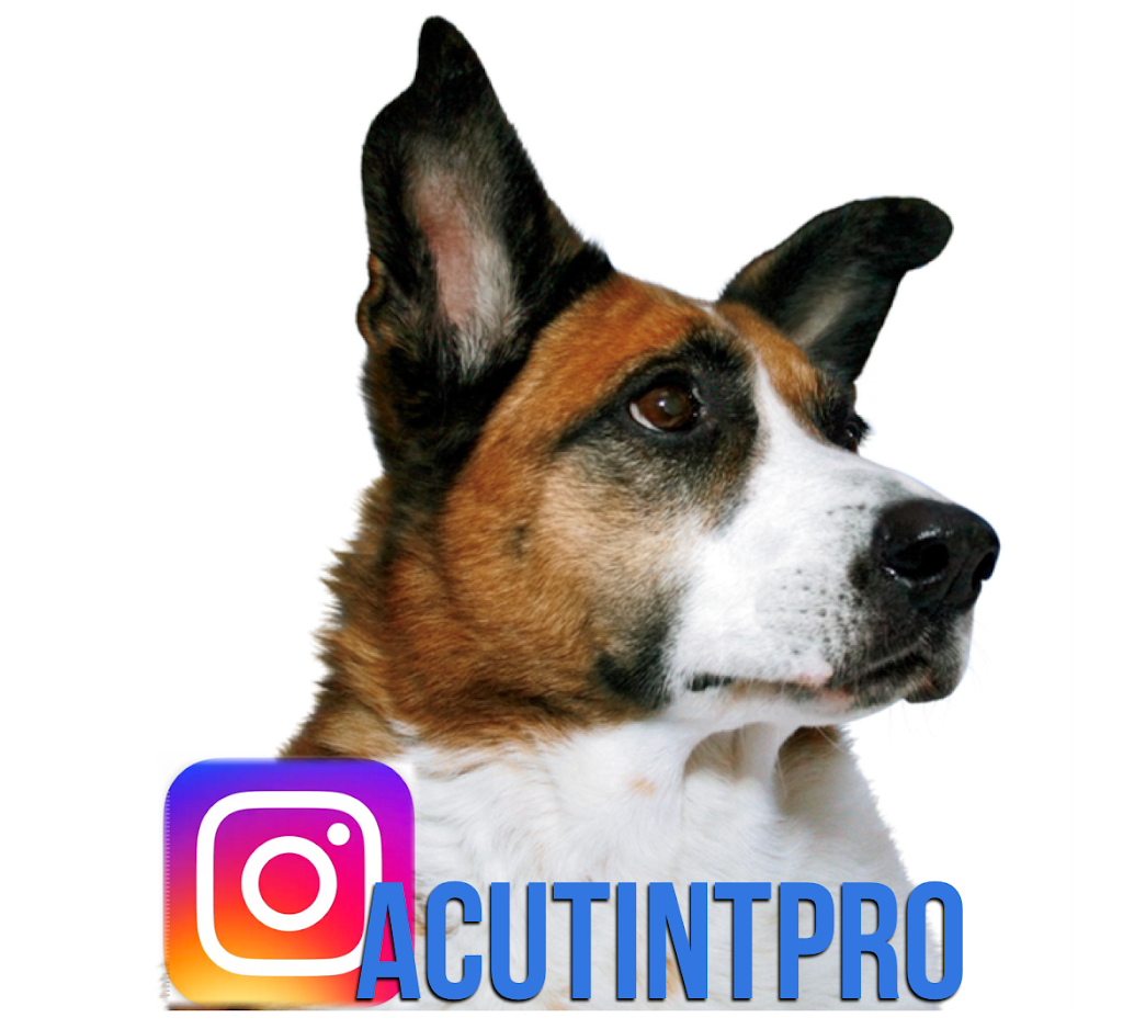 AcutintPro.com | 1700 W Foothill Blvd Suite A, Upland, CA 91786, USA | Phone: (909) 226-6262