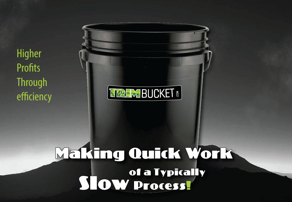 Trim Bucket | 20589 State Rte 26, West Point, CA 95255, USA | Phone: (916) 402-5150