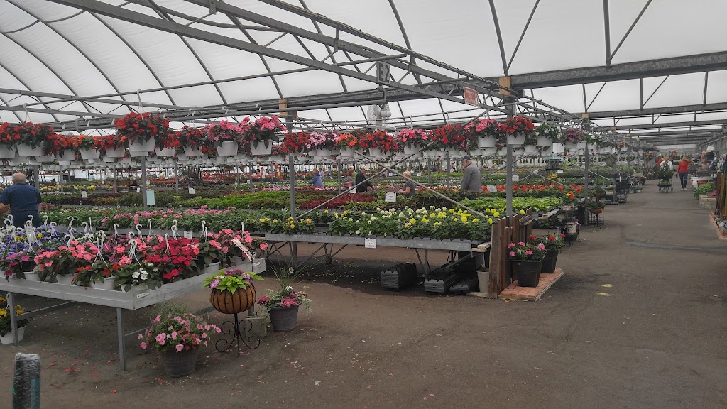 Hi-Way Garden Center | 1941 Tonawanda Creek Rd, Amherst, NY 14228, USA | Phone: (716) 695-2741