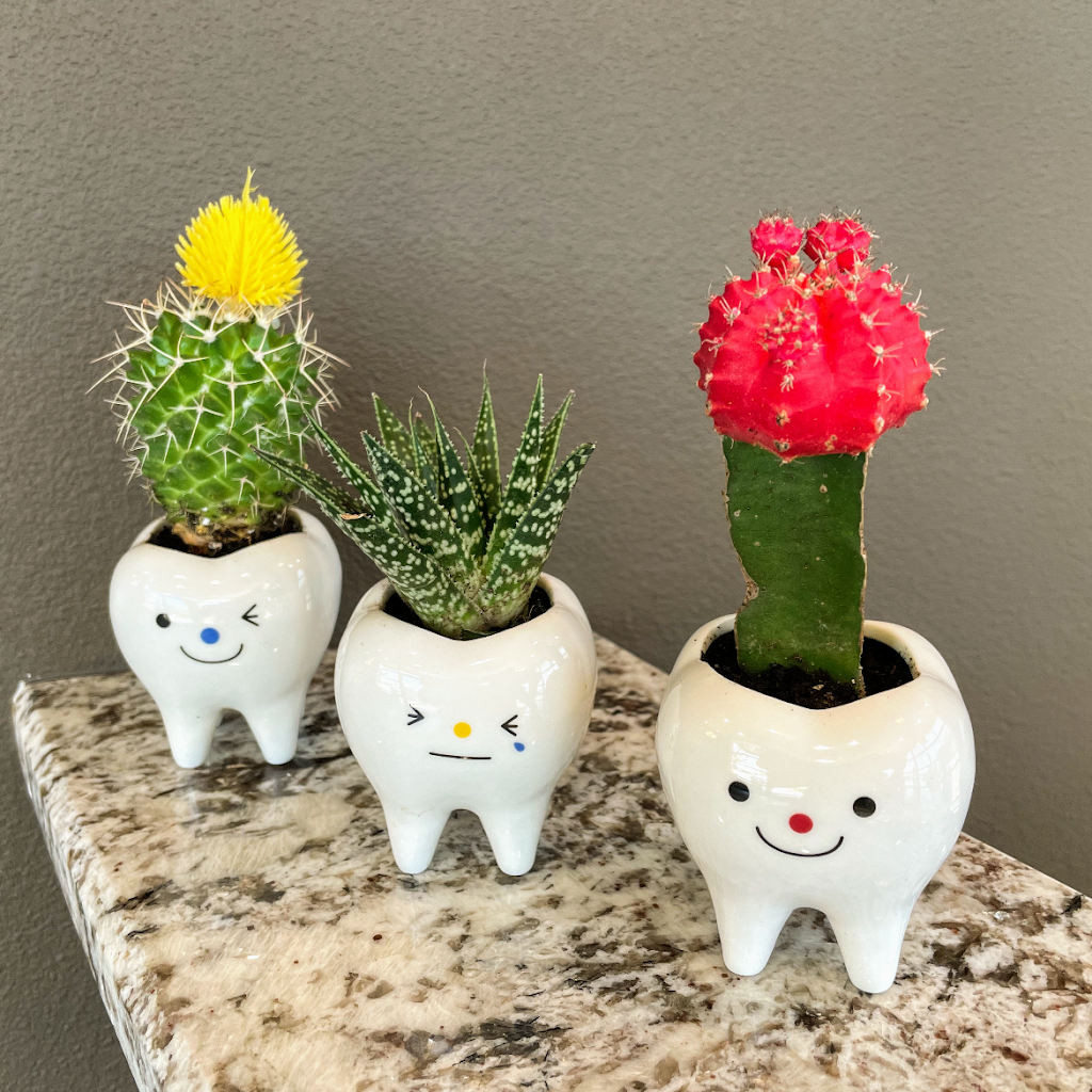 Spring Haven Dental | 13254 FL-54, Odessa, FL 33556, USA | Phone: (813) 448-6885