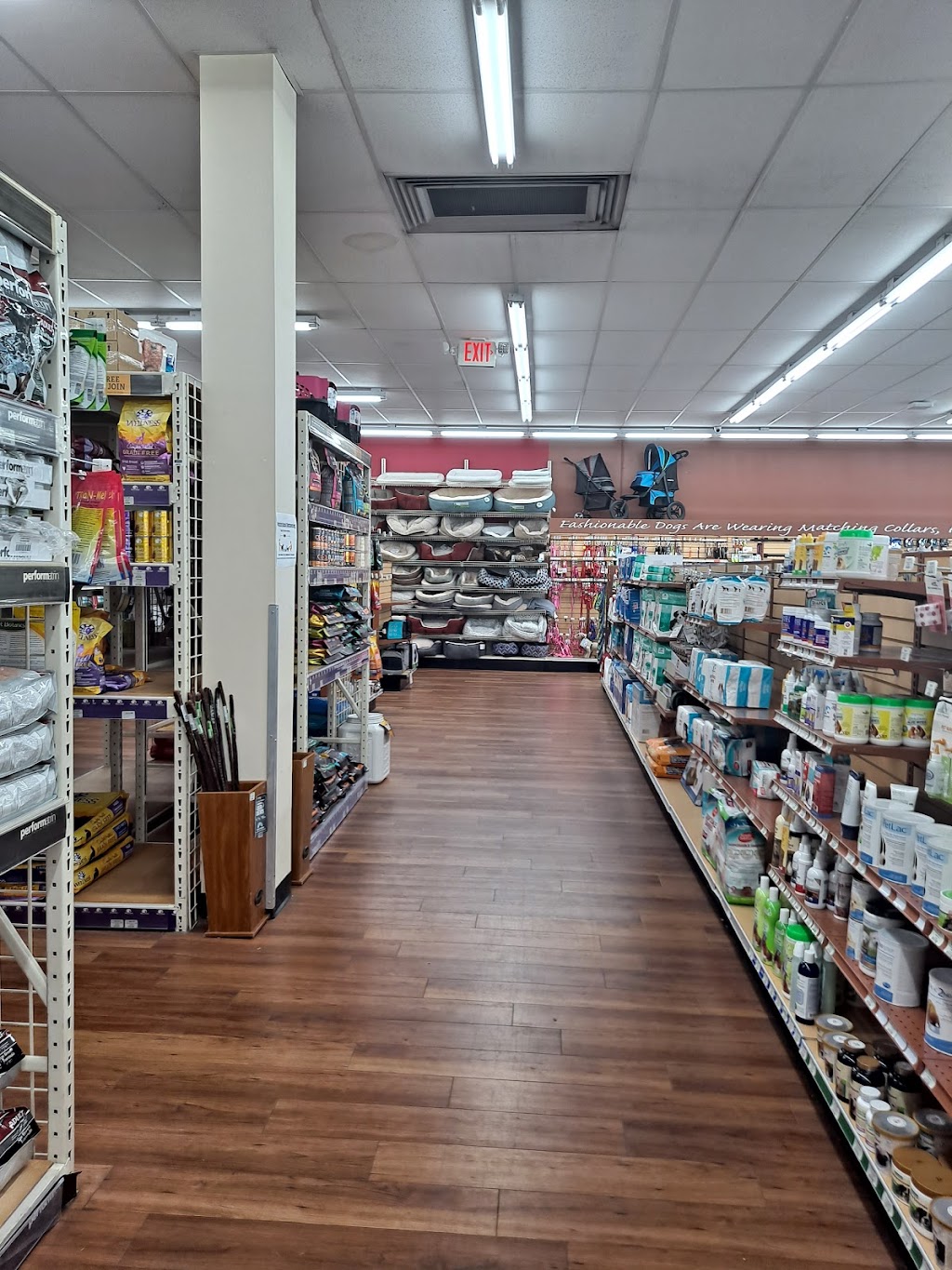 Pet Supermarket | 2320 N Dale Mabry Hwy, Tampa, FL 33607, USA | Phone: (813) 877-5550