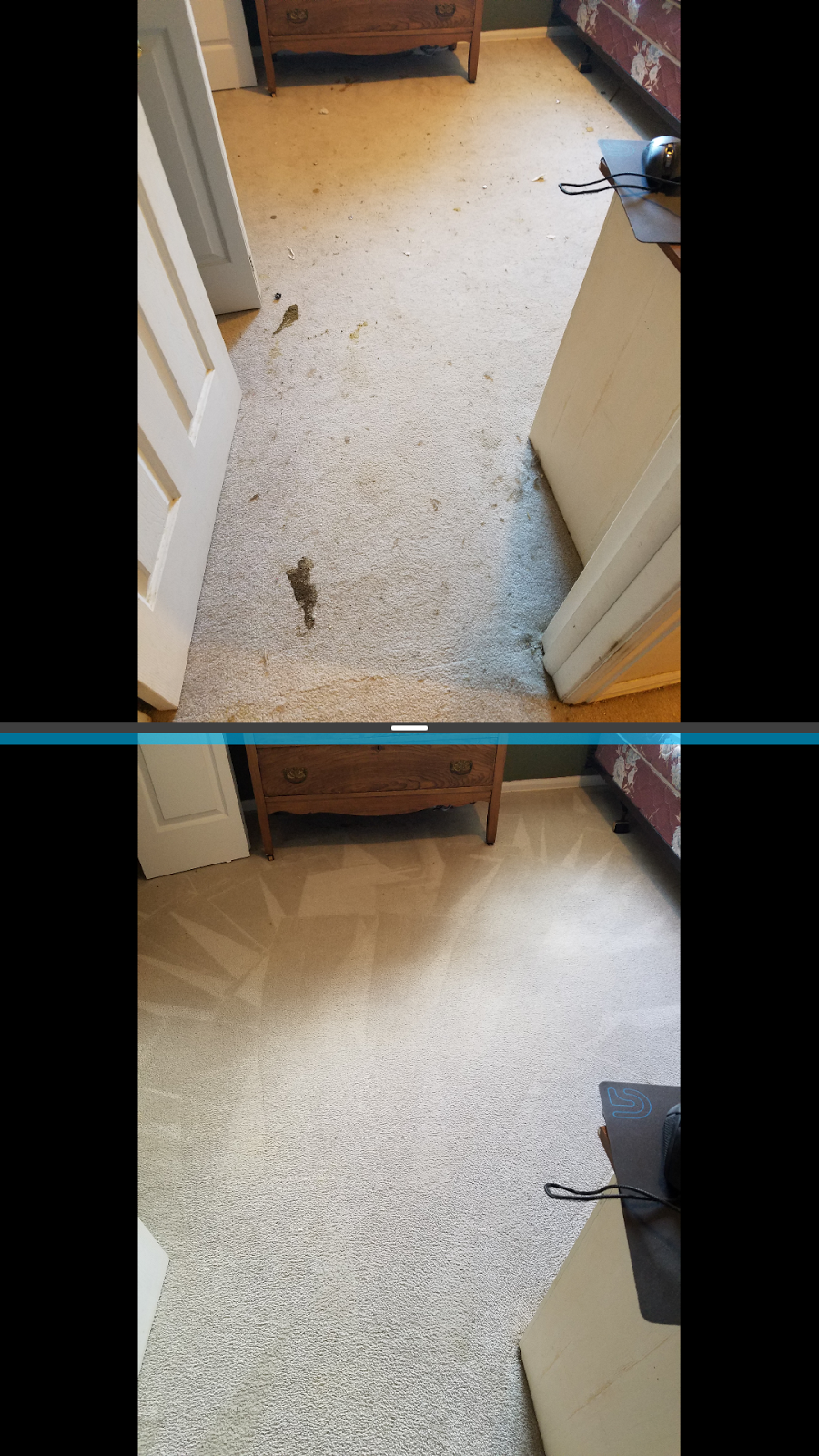 Family Carpet Care, LLC | 3035 Pear St, Cañon City, CO 81212, USA | Phone: (719) 315-2437