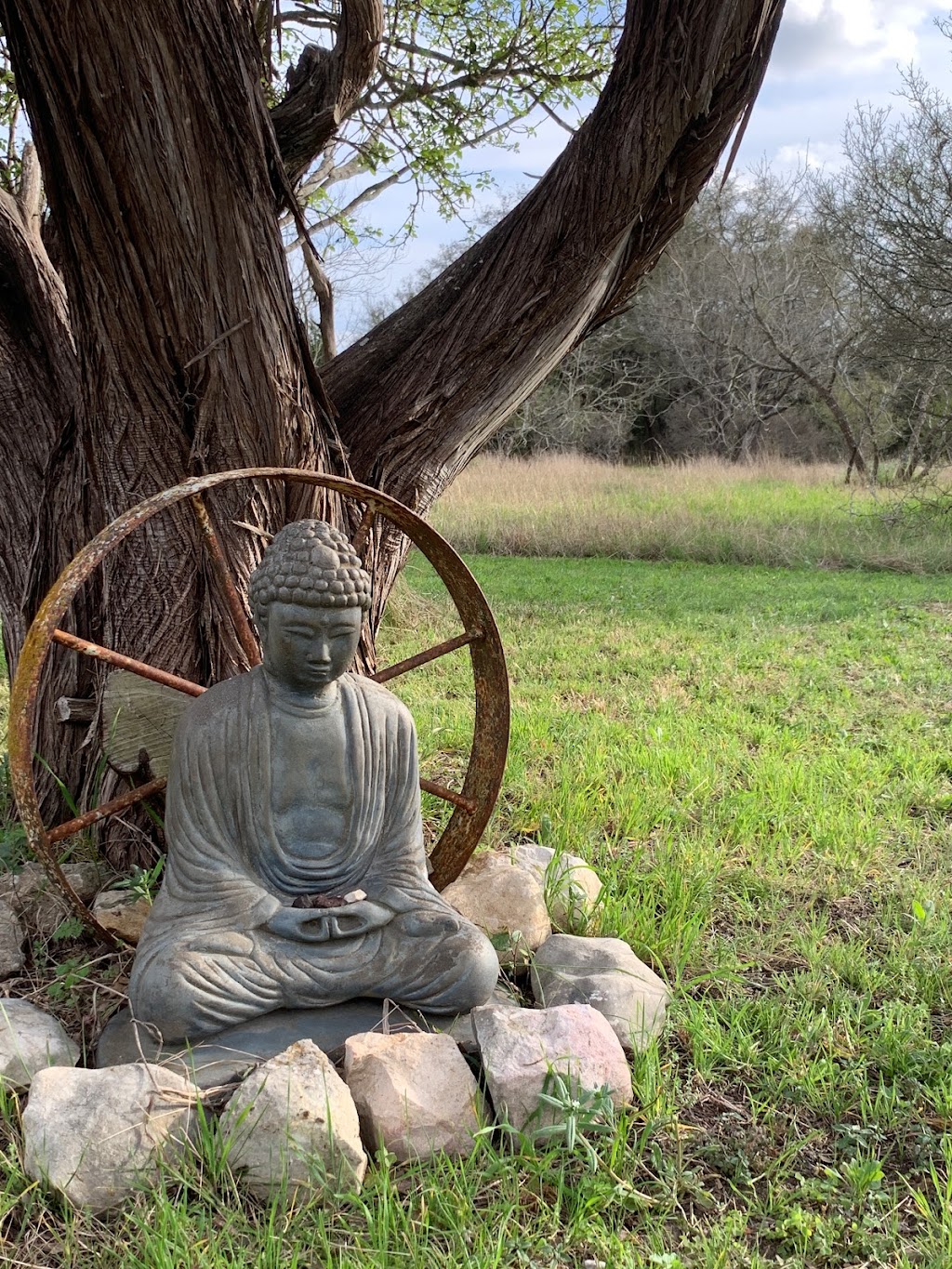 Dharma Ranch | 822 Valley View West Rd, San Marcos, TX 78666, USA | Phone: (512) 522-4125