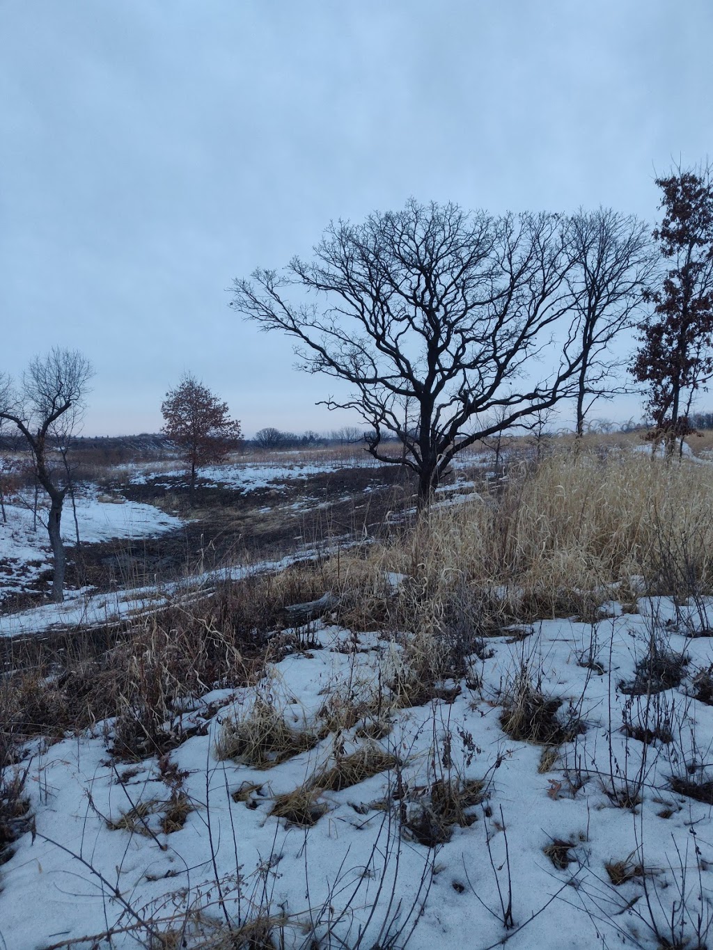 St. Croix Savanna Scientific and Natural Area (SNA) | Osprey Blvd, Bayport, MN 55003, USA | Phone: (651) 259-5800