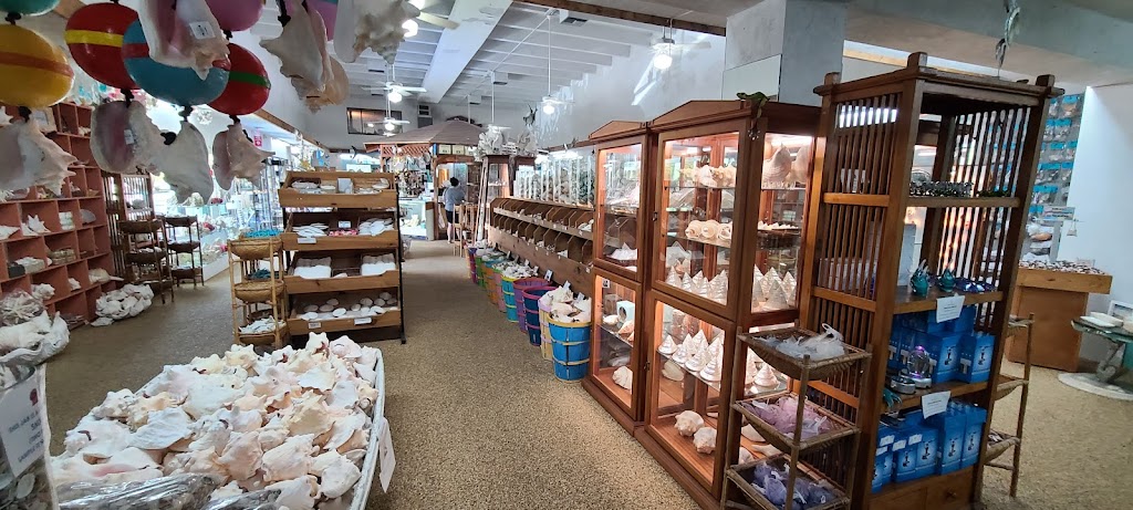 Shell World | 97600 Overseas Hwy, Key Largo, FL 33037, USA | Phone: (305) 852-8245