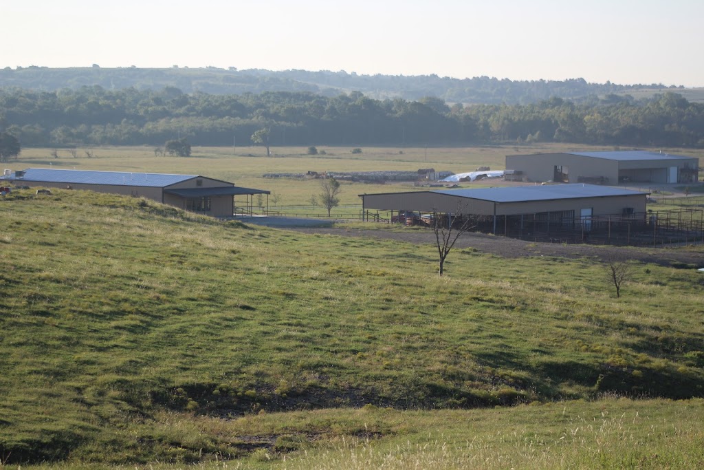 Flying Cow Genetics | 429746 E 70 Rd, Welch, OK 74369, USA | Phone: (918) 929-3178