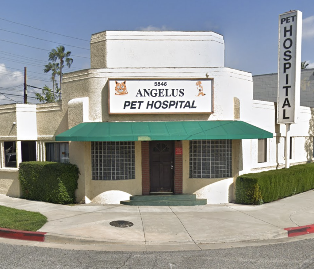 Angelus Pet Hospital | 5846 San Fernando Rd, Glendale, CA 91202, USA | Phone: (818) 241-8333