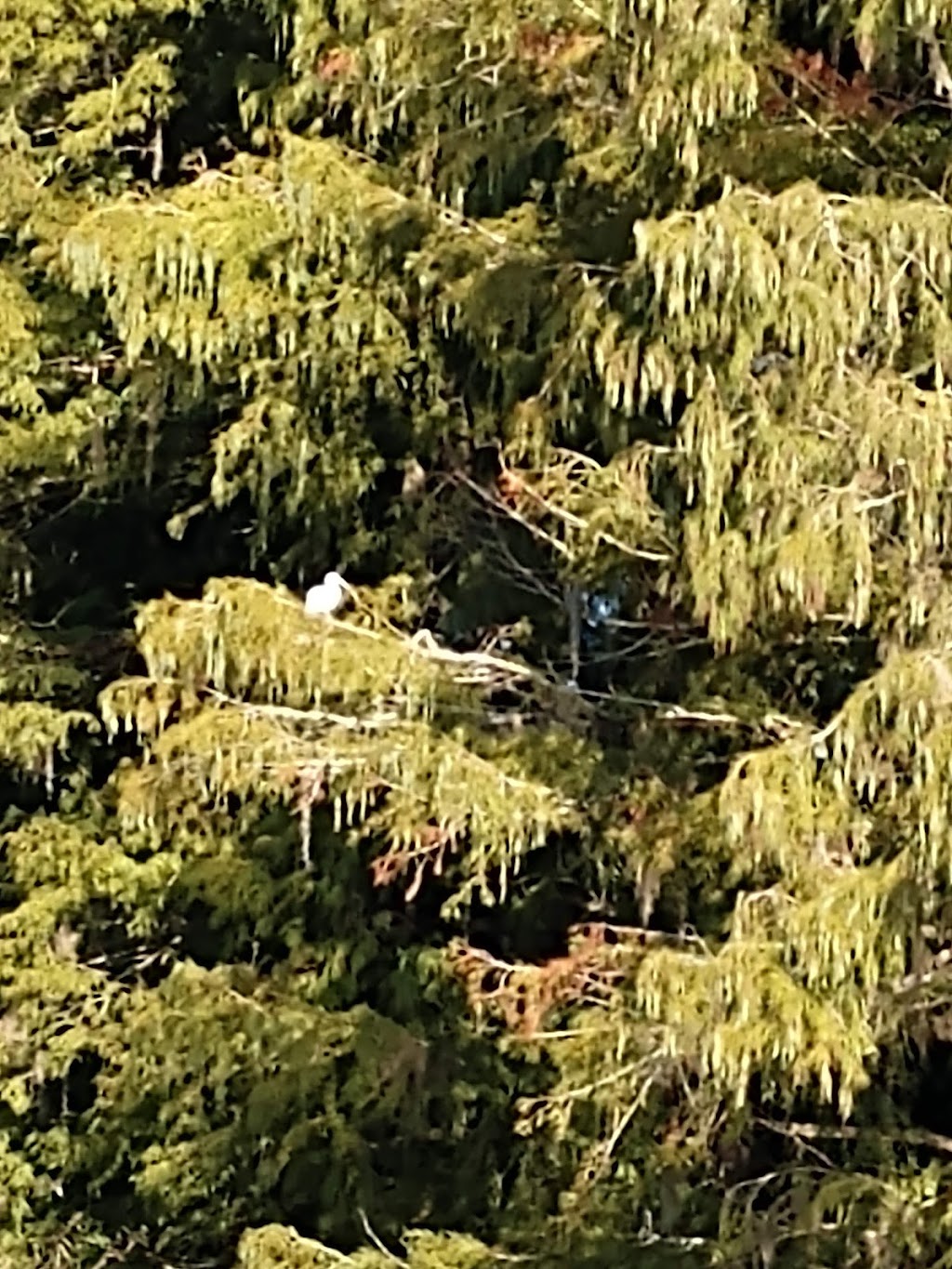 55+ Wynnhaven on the Withlacoochee LLC | 8271 W C 48, Bushnell, FL 33513, USA | Phone: (352) 793-4744