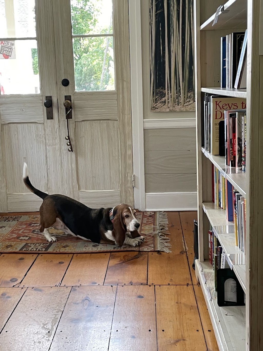 Howling Basset Books | 39 Old Turnpike Rd, Oldwick, NJ 08858, USA | Phone: (908) 572-0757