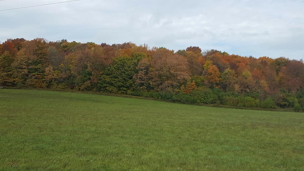 Kel-Kur Electric Inc | 5364 Little Rd, Cuba, NY 14727, USA | Phone: (585) 968-0233