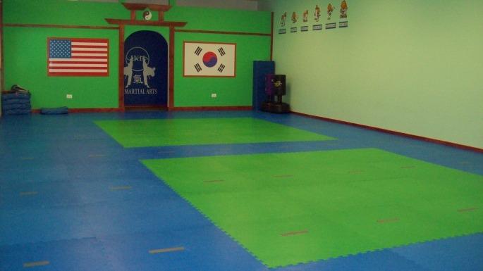 KI Martial Arts | 2055 S Lake St, Mundelein, IL 60060, USA | Phone: (847) 837-7850