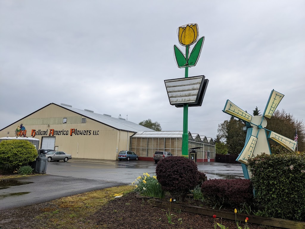 Holland America Flower Gardens | 1066 S Pekin Rd, Woodland, WA 98674, USA | Phone: (360) 225-4512