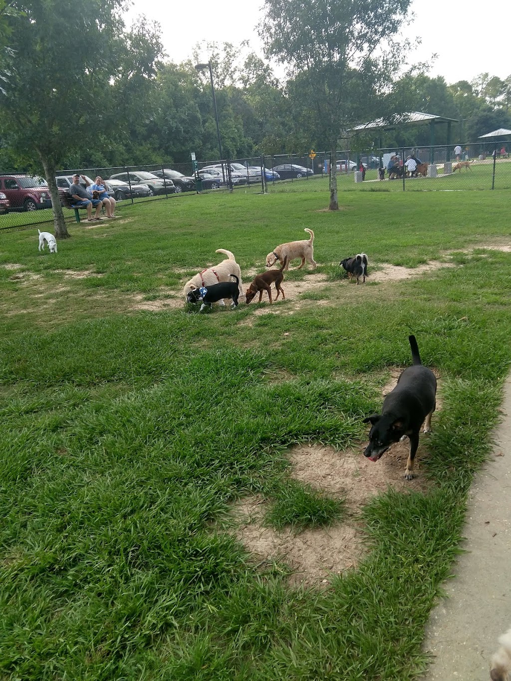 Raising Canes Dog Park at Forest Community Park | 13900 S Harrells Ferry Rd, Baton Rouge, LA 70816, USA | Phone: (225) 752-1853