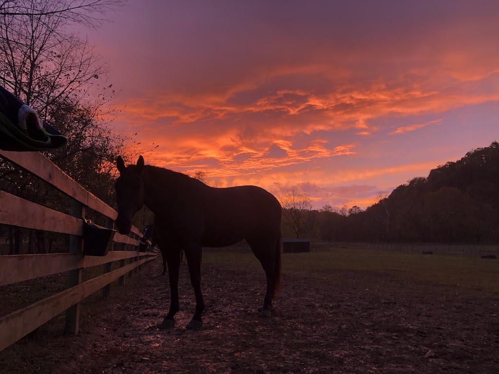 Gas Light Equine Veterinary | Prospect, KY 40059, USA | Phone: (502) 222-9411