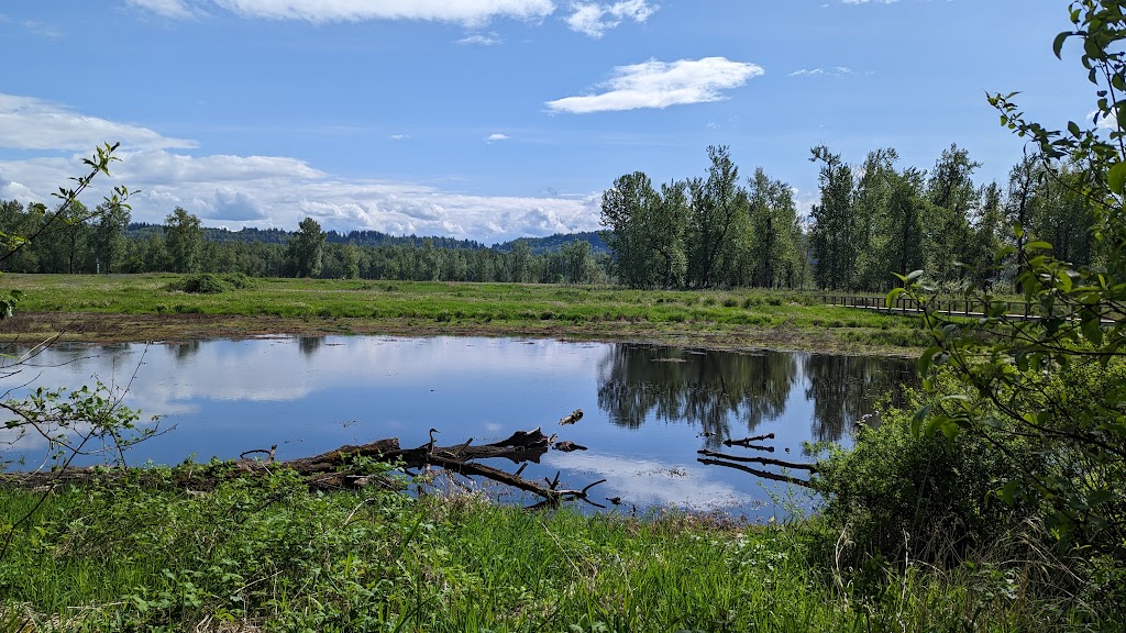 Steigerwald Lake National Wildlife Refuge | 35001 Lewis and Clark Hwy, Washougal, WA 98671, USA | Phone: (360) 835-8767