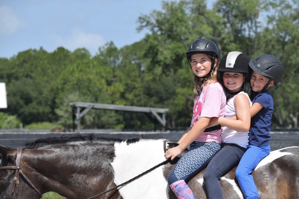 Sammon Equestrian | 5982 225th St E, Bradenton, FL 34211 | Phone: (321) 443-8892