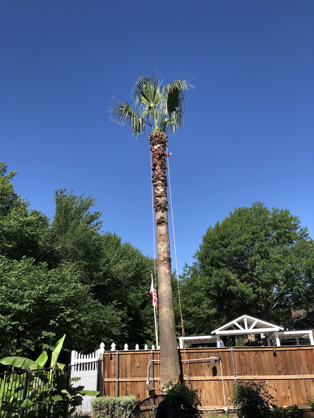 Landscape Lighting and Design | 7381 W Vickery Blvd, Benbrook, TX 76116, USA | Phone: (817) 937-0204