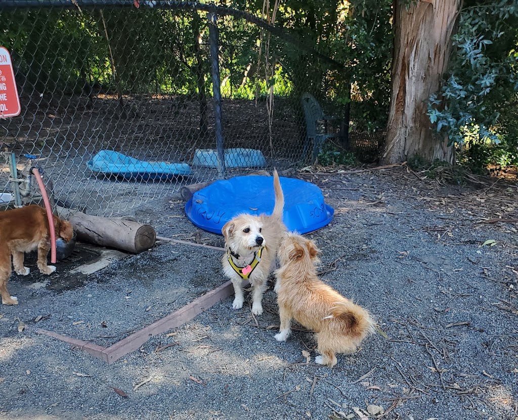 Earl Warren Dog Park | 4594 Paradise Knolls, Castro Valley, CA 94546, USA | Phone: (510) 881-6700