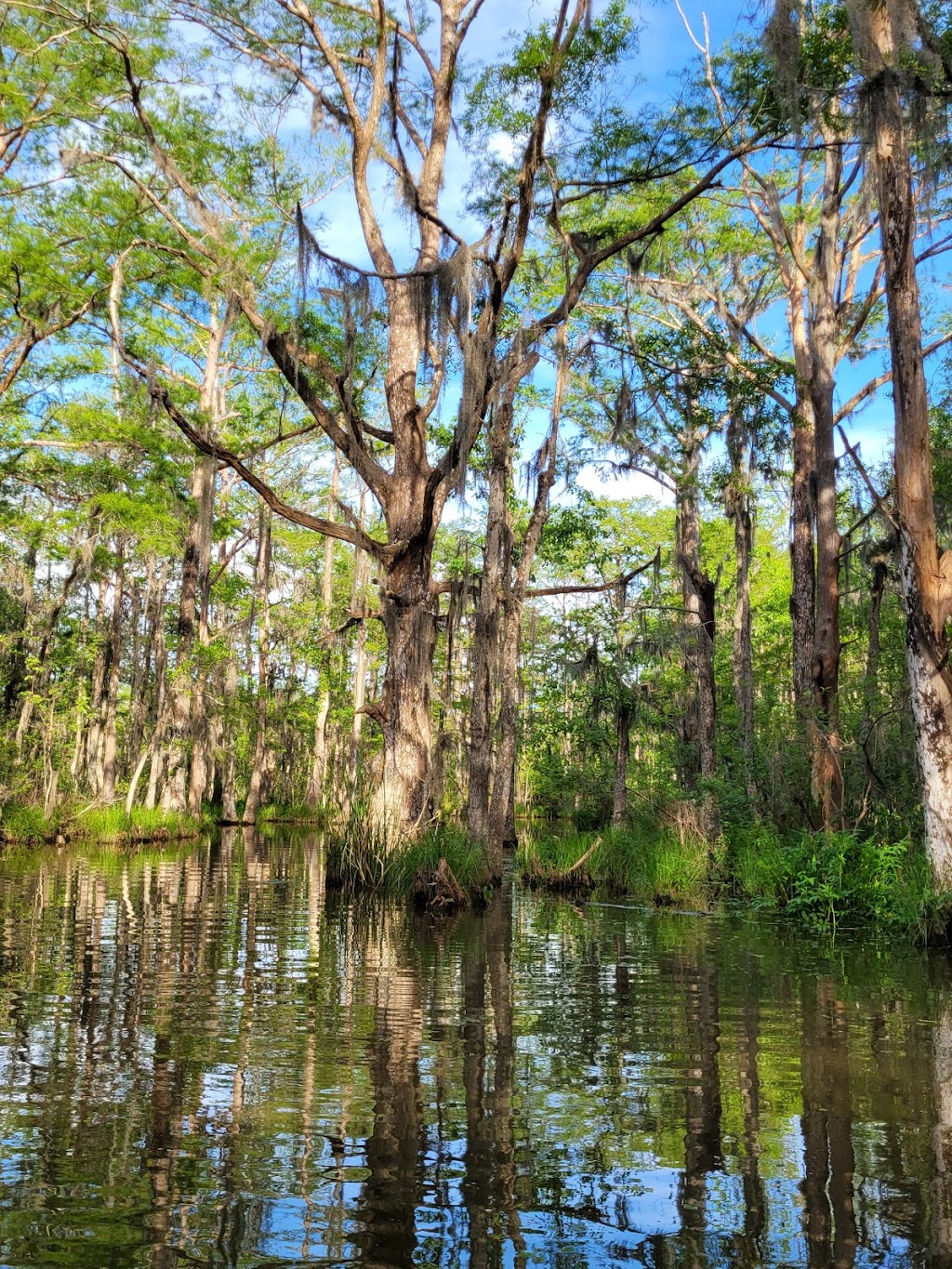 Honey Island Swamp Tours | 41490 Crawford Landing Rd, Slidell, LA 70461, USA | Phone: (985) 641-1769