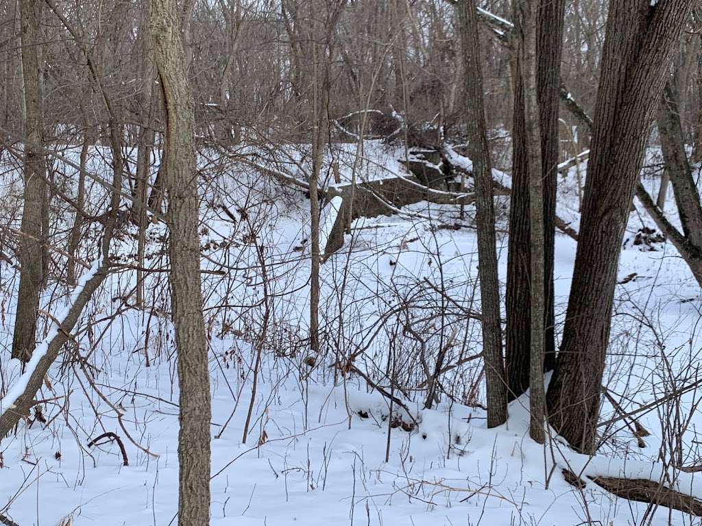 Loddes Mill Bluff State Natural Area | Sauk City, WI 53583, USA | Phone: (888) 936-7463